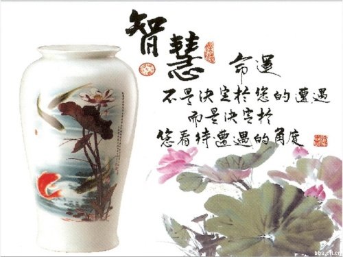 ���B(y��ng)�ĸ衿�����{����������ٍ��������Ԇ᣿