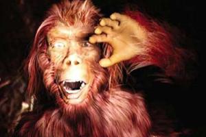 ꃱ�ëҰ�˵Ĺ��£��Ӱ�棩